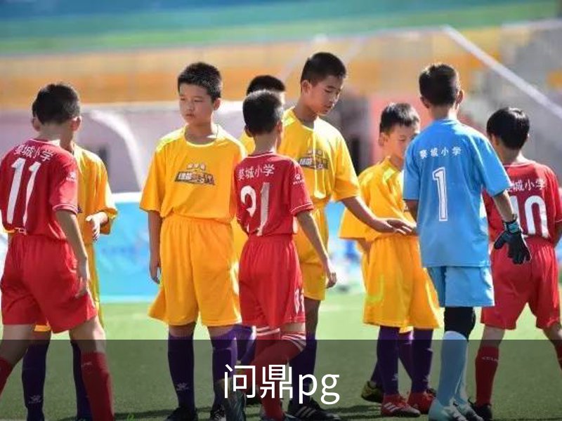 问鼎pg介绍